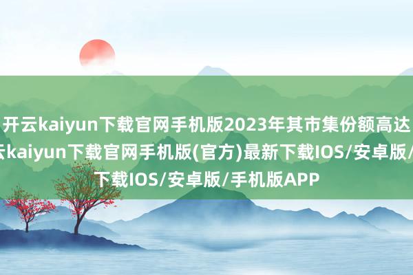 开云kaiyun下载官网手机版2023年其市集份额高达11.5%-开云kaiyun下载官网手机版(官方)最新下载IOS/安卓版/手机版APP
