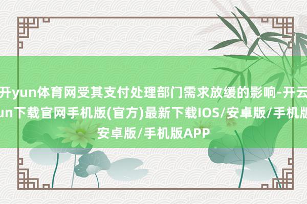 开yun体育网受其支付处理部门需求放缓的影响-开云kaiyun下载官网手机版(官方)最新下载IOS/安卓版/手机版APP