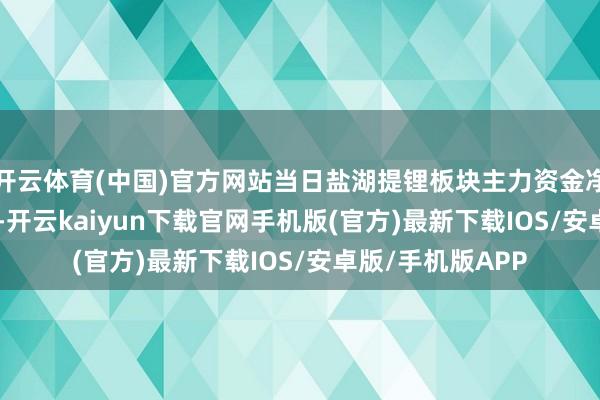 开云体育(中国)官方网站当日盐湖提锂板块主力资金净流出11.32亿元-开云kaiyun下载官网手机版(官方)最新下载IOS/安卓版/手机版APP