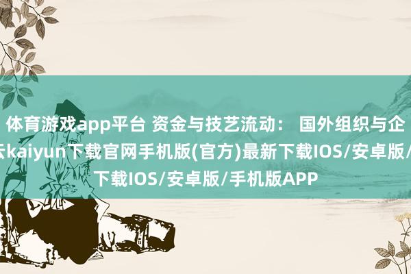 体育游戏app平台 资金与技艺流动： 国外组织与企业合作-开云kaiyun下载官网手机版(官方)最新下载IOS/安卓版/手机版APP